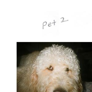 Pet 2