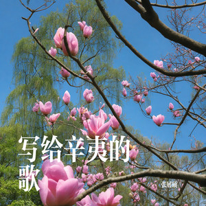 写给辛夷的歌 (Demo)