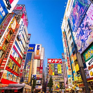 Tokyo Transit (Shinjuku Sunset)