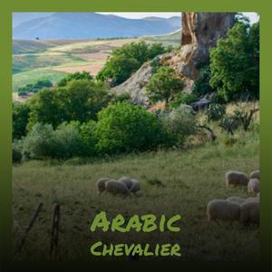 Arabic Chevalier