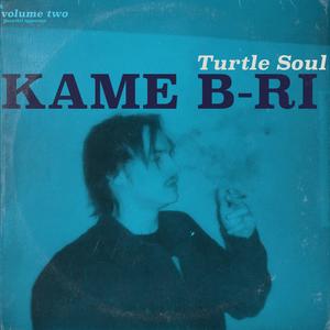 Turtle Soul vol. 2 (Explicit)