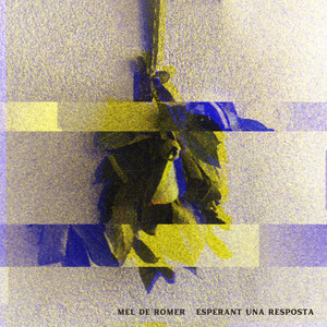 Esperant una Resposta