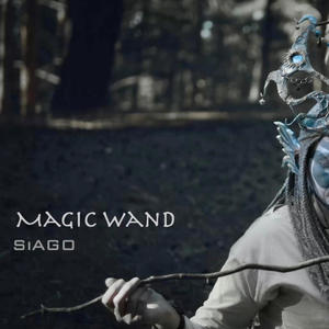 Magic Wand