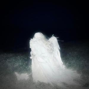 she was a fallen angel, yet she was still perfect - Slowed