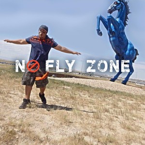 No Fly Zone (2016 Edition)