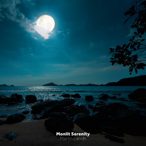 Moonlit Serenity