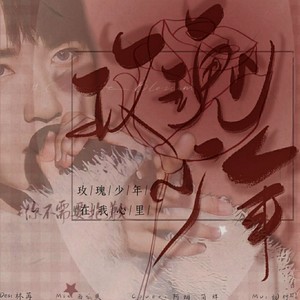 玫瑰少年