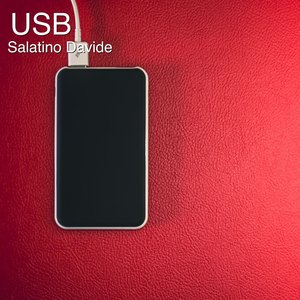 Usb