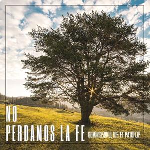 NO PERDAMOS LA FE (feat. PATOFLIP)