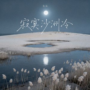 寂寞沙洲冷