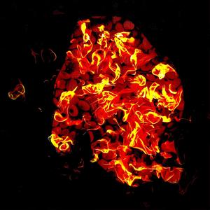 DipDipDash (Explicit)