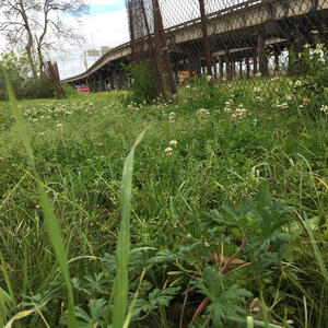 Blinded by Bliss (feat. Doktor Watson) (Explicit)