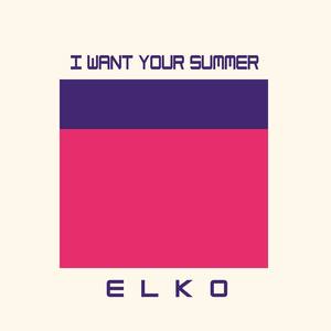 I Want Your Summer (Radio Edit)