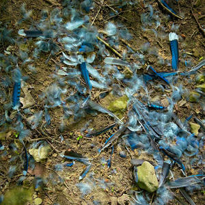 Wesley - third grade (Explicit)