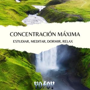 Concentración Máxima - Estudiar, Meditar, Dormir, Relax - Flautas Magicas
