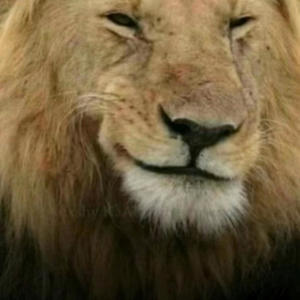 Boa Onnat Ca (Explicit)