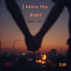 I adore the Night (Radio Edit)