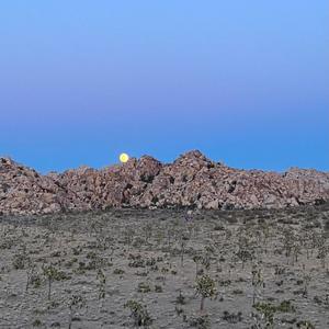 Nothing(feat. Digitalords) (Explicit)