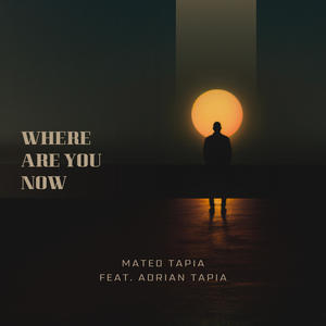 Where Are You Now (feat. Adrian Tapia) [Remix]