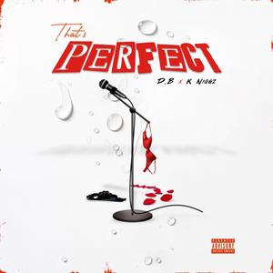 That's Perfect (feat. K Niggz) [Explicit]