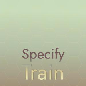 Specify Train