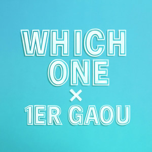 Which One x 1er Gaou (Radio Edit)