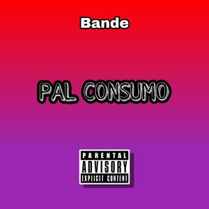 Pal consumo (feat. Bande) (Explicit)