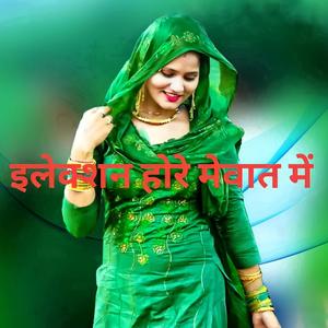 इलेक्शन होरे मेवात में