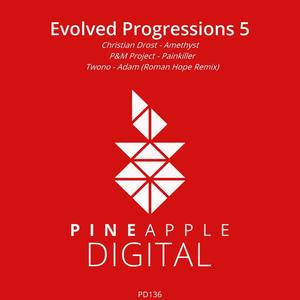 Evolved Progressions 5