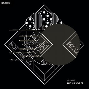 The Survive (Original Mix)