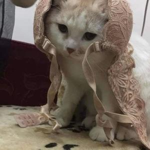 tired of wasting your time (Explicit)