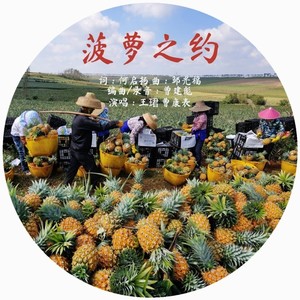菠萝之约 (伴奏)