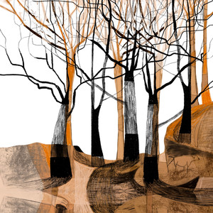 Vidalita de la casa dejada