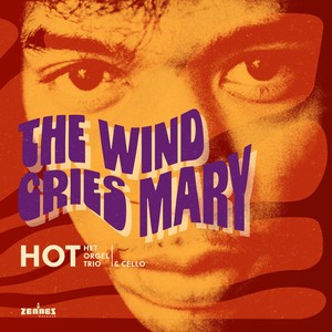 The Wind Cries Mary