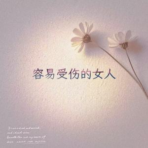 容易受伤的女人 (R&B版)