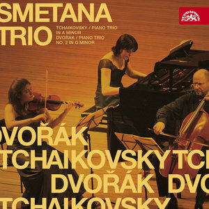 Trio for Piano, Violin and Cello in A minor, Op. 50: I. Pezzo elegiaco. Moderato assi. Allegro giusto