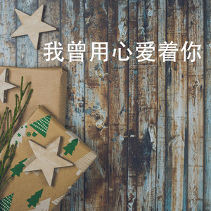 我曾用心爱着你 (律动版伴奏)