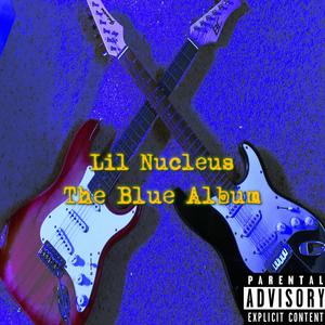 The Blue Album (Explicit)