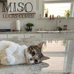 MISO (Explicit)