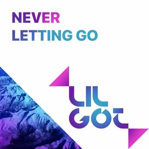 Never letting go (Original Mix)