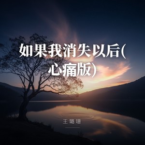 如果我消失以后 (心痛版)
