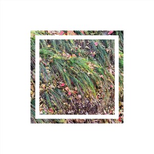 Grass (Mini Version)