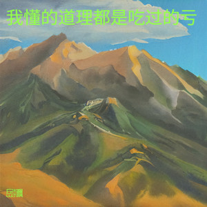 我的对-岳崇枫