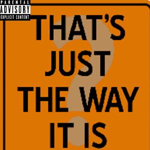 The Way It Is (feat. Puruzzam) [Explicit]