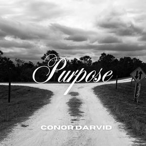 Purpose