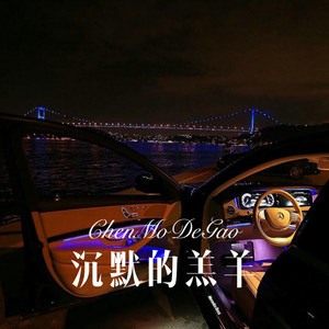 沉默的羔羊 (DJ版)