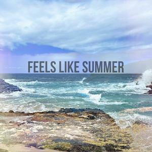 FEELS LIKE SUMMER (feat. Lunarpanels) [Explicit]