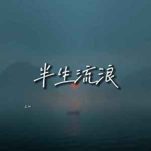 半生流浪
