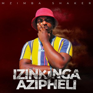 Izinkinga Azipheli