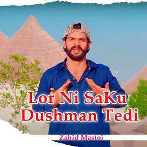 Lor Ni SaKu Dushman Tedi